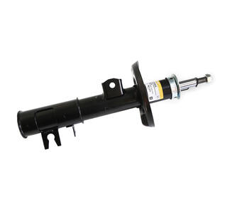 Амортизатор передний (стойка) газовый CHEVROLET COBALT 13--, RAVON R4 16-- L