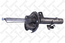 Амортизатор передний (стойка) газовый FORD FOCUS 04-11, C-MAX 07--, MAZDA 3 BK 03-- R