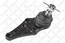 Шаровая опора MITSUBISHI PAJERO, MONTERO 00--, L200 нижняя 