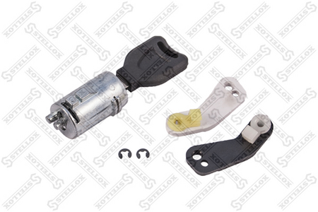 Личинка замка двери